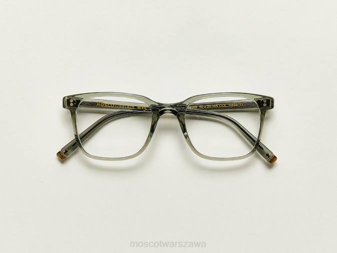 okulary 4TN2349 szałwia Moscot Travis