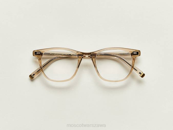 okulary 4TN2361 cynamon Moscot nie