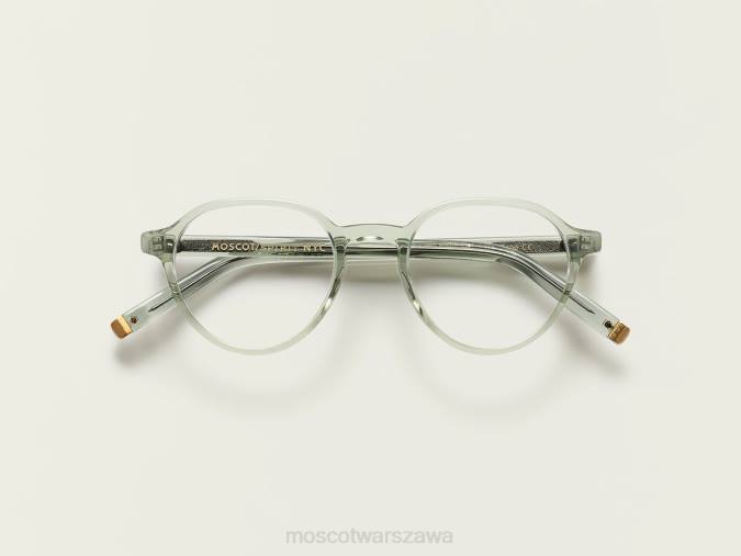 okulary 4TN2365 szałwia Moscot les