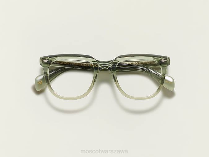 okulary 4TN2138 szałwia Moscot jontif
