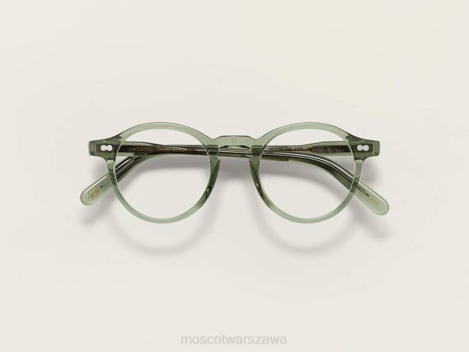 okulary 4TN228 szałwia Moscot miltzen