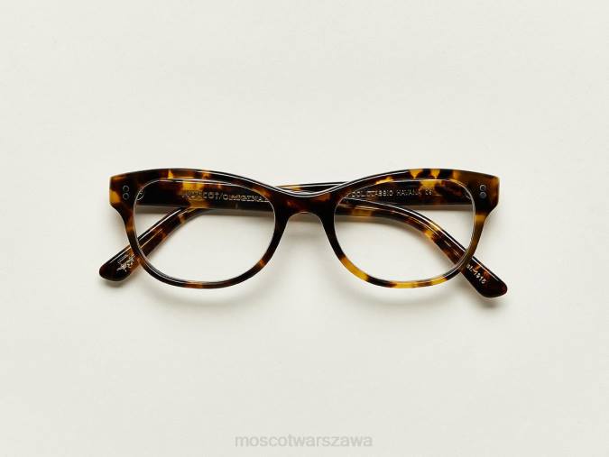 okulary 4TN2298 klasyczna Hawana Moscot Bren