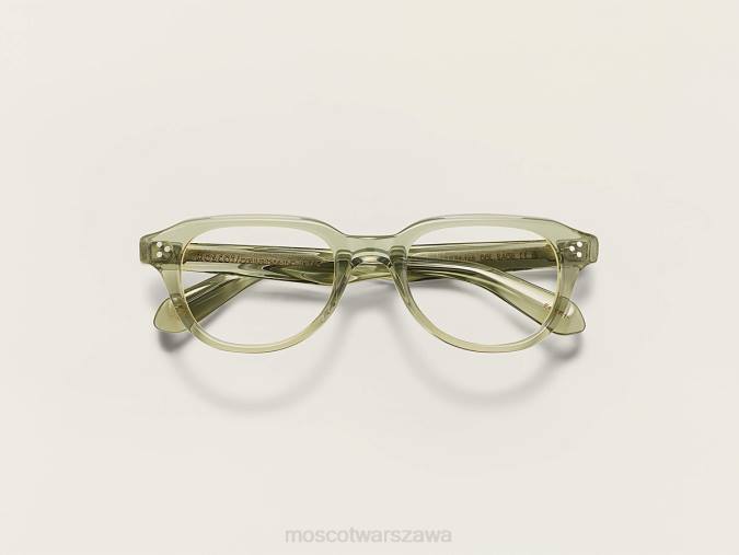 okulary 4TN2319 szałwia Moscot goola