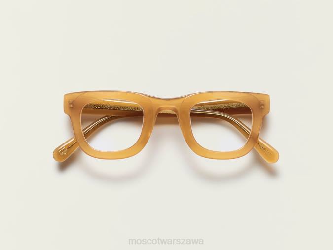 okulary 4TN292 toffi Moscot fritz
