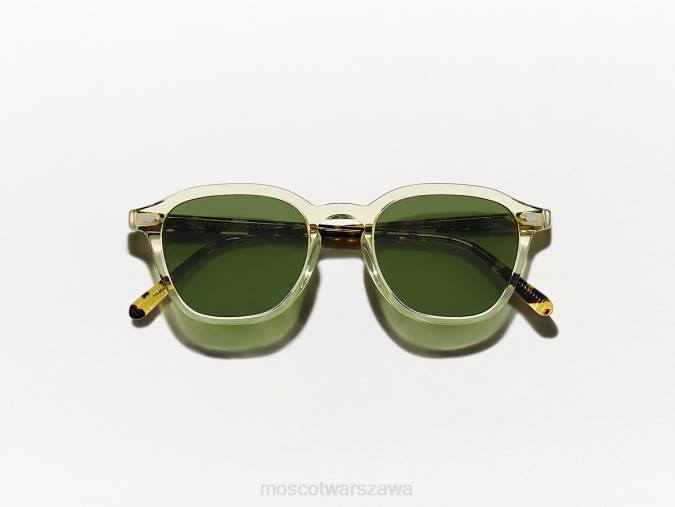 okulary 4TN2870 cytryna/żółw Moscot słońce Vantza